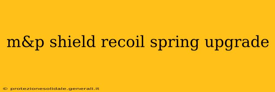 m&p shield recoil spring upgrade