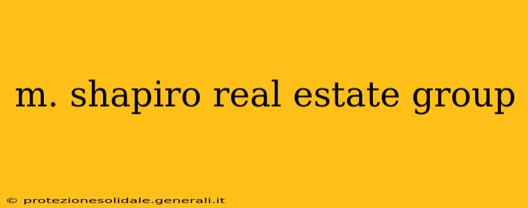 m. shapiro real estate group
