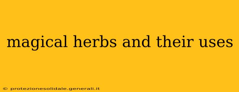 magical herbs and their uses