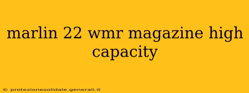 marlin 22 wmr magazine high capacity