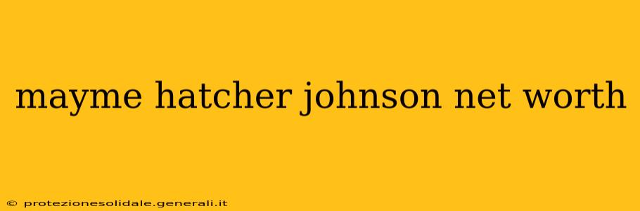 mayme hatcher johnson net worth