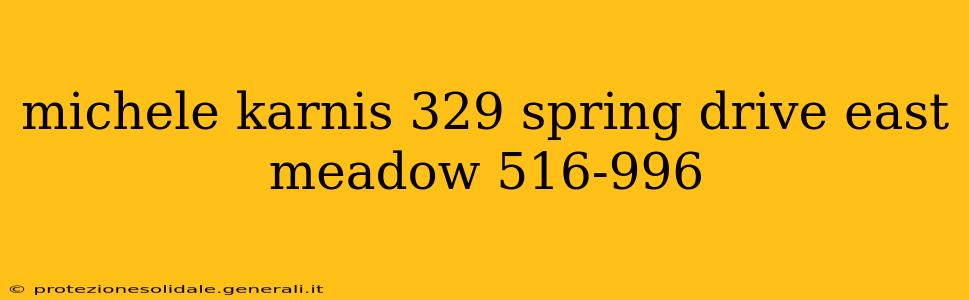 michele karnis 329 spring drive east meadow 516-996 michele karnis 329 spring drive east meadow 516-996