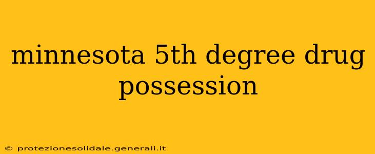 minnesota 5th degree drug possession
