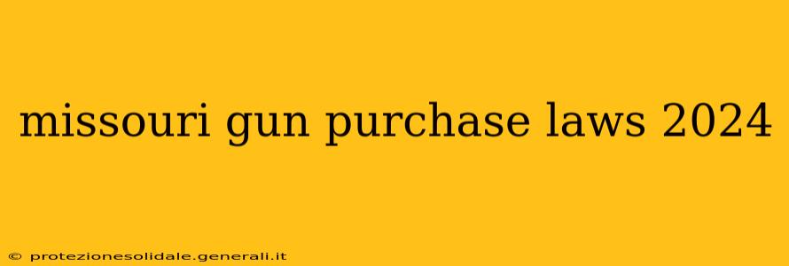 missouri gun purchase laws 2024
