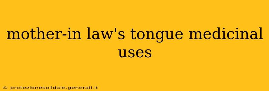 mother-in law's tongue medicinal uses