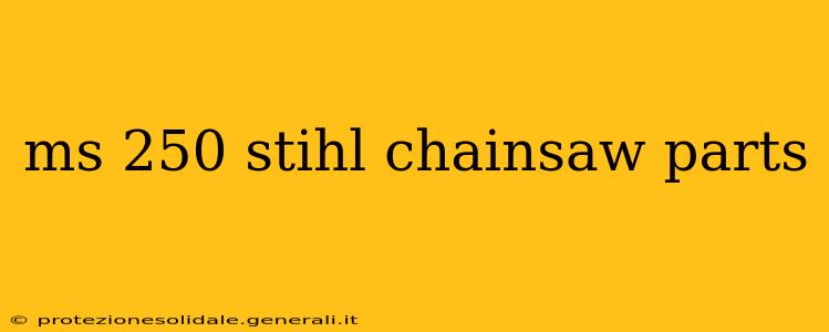 ms 250 stihl chainsaw parts