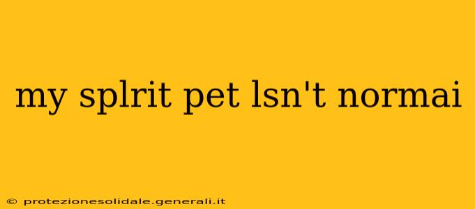 my splrit pet lsn't normai