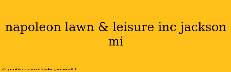 napoleon lawn & leisure inc jackson mi