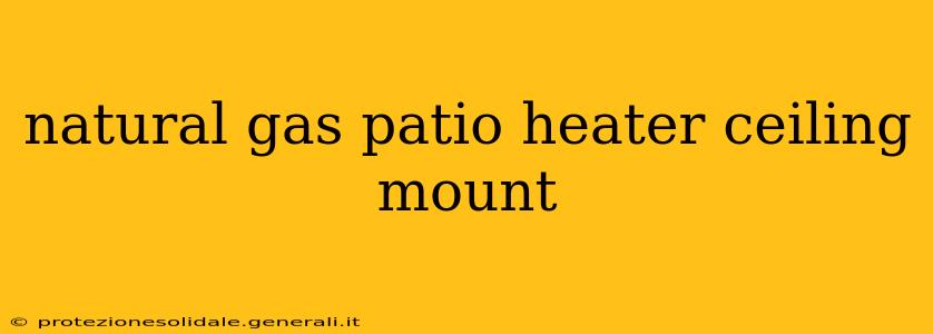 natural gas patio heater ceiling mount
