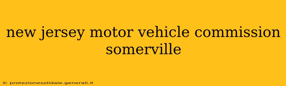 new jersey motor vehicle commission somerville