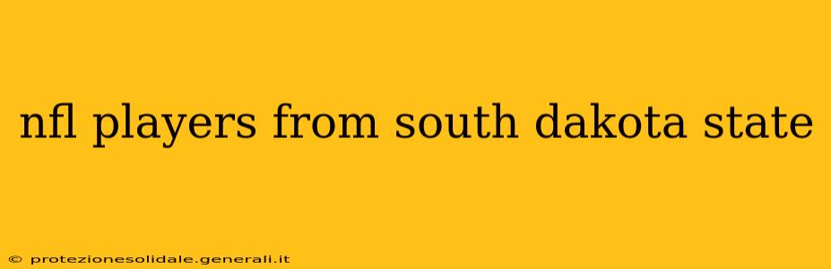 nfl players from south dakota state