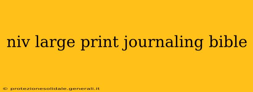 niv large print journaling bible