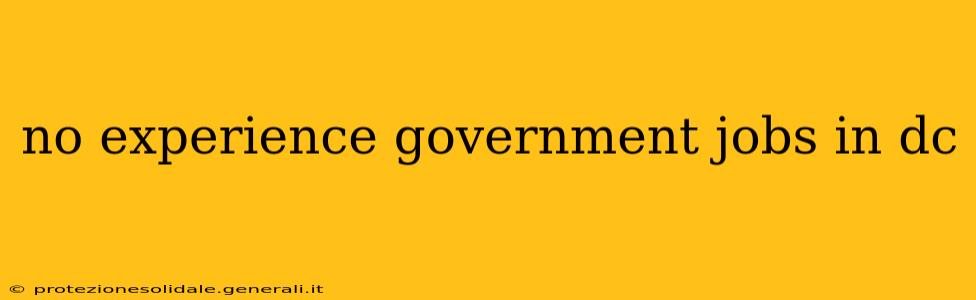 no experience government jobs in dc