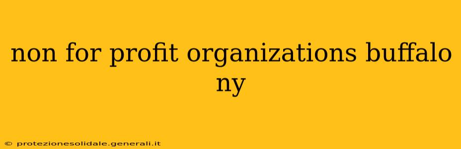 non for profit organizations buffalo ny