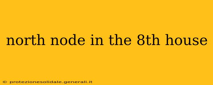 north node in the 8th house