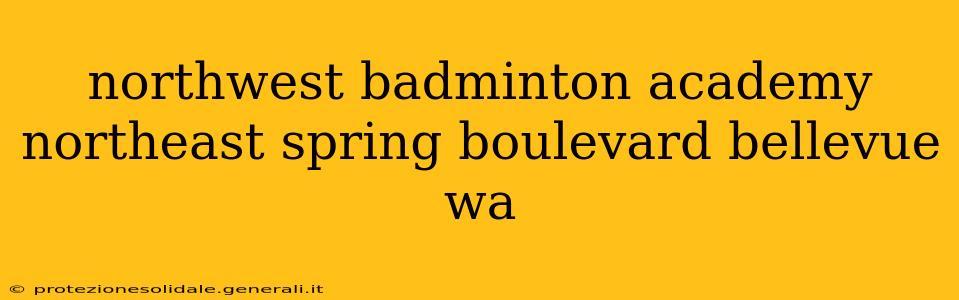 northwest badminton academy northeast spring boulevard bellevue wa