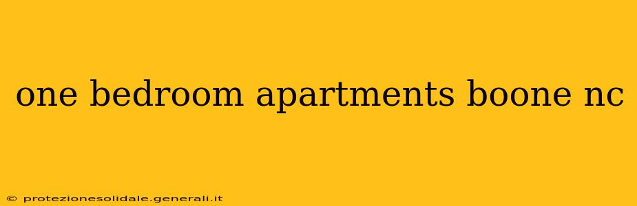 one bedroom apartments boone nc