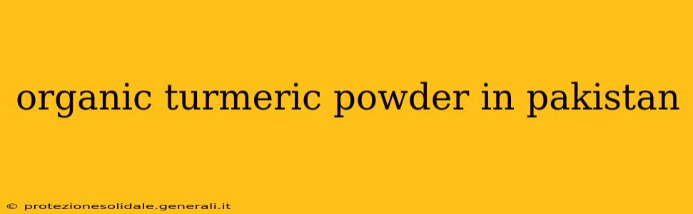 organic turmeric powder in pakistan
