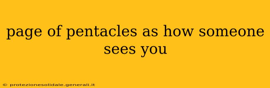 page of pentacles as how someone sees you