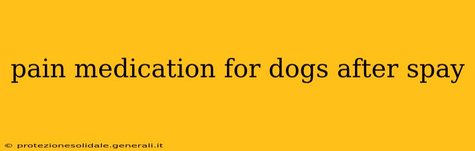 pain medication for dogs after spay