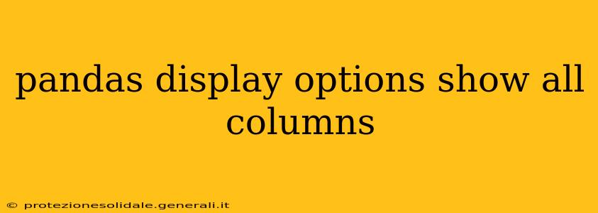 pandas display options show all columns