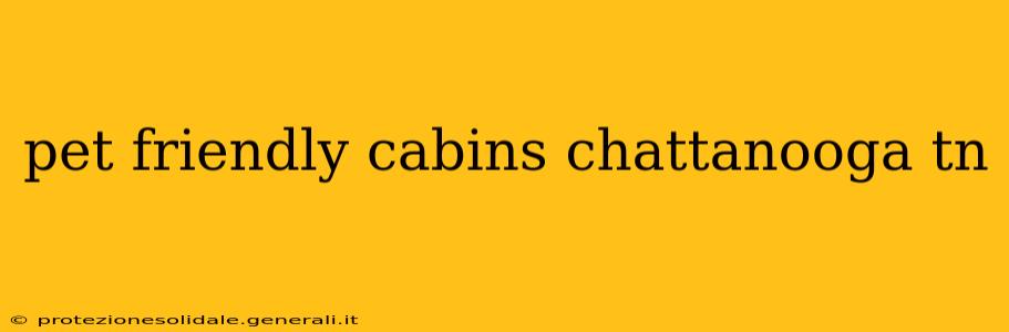 pet friendly cabins chattanooga tn