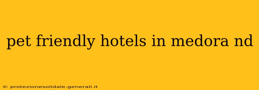 pet friendly hotels in medora nd