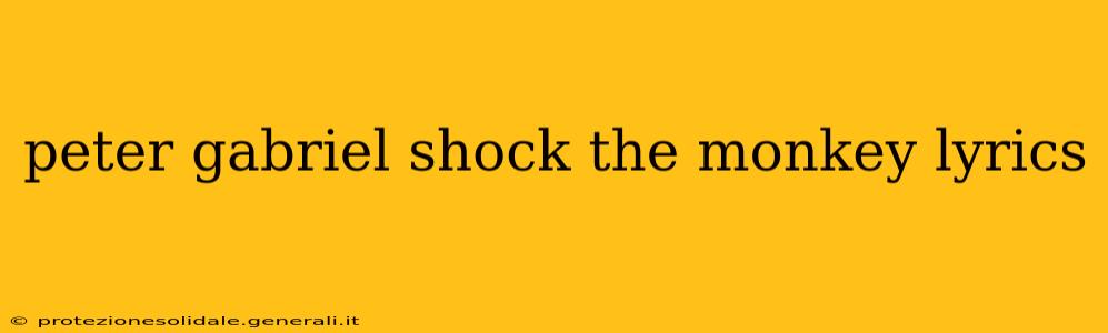peter gabriel shock the monkey lyrics