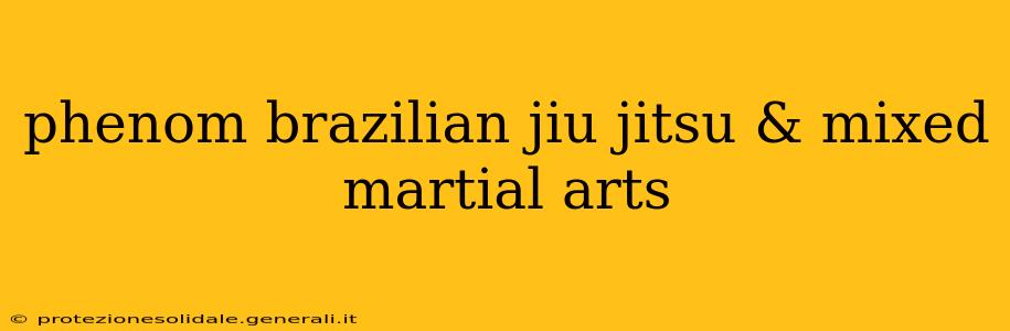 phenom brazilian jiu jitsu & mixed martial arts