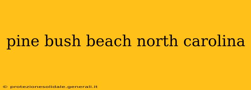 pine bush beach north carolina