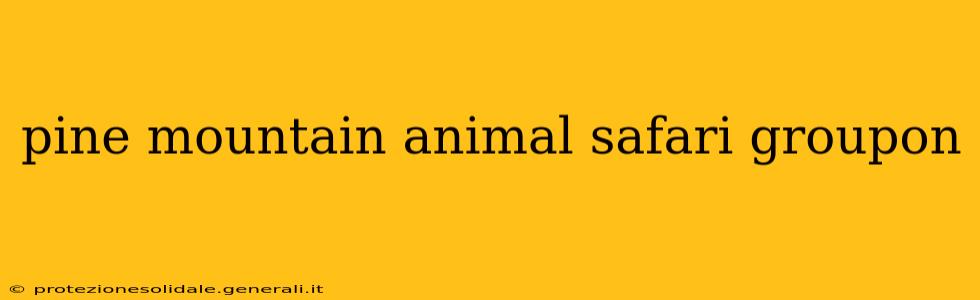 pine mountain animal safari groupon