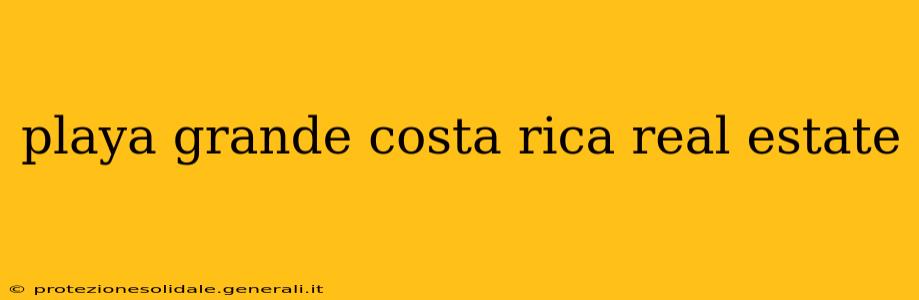 playa grande costa rica real estate