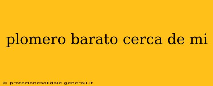 plomero barato cerca de mi