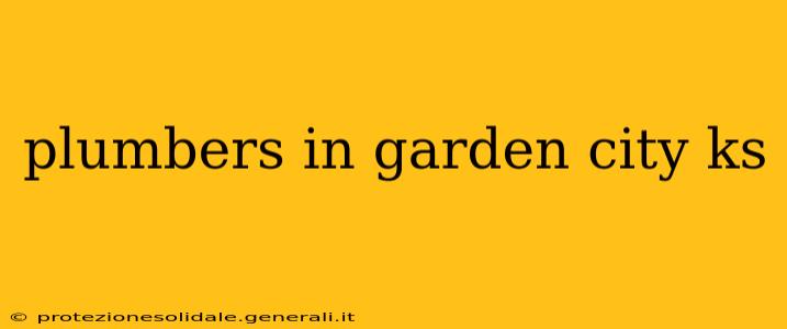 plumbers in garden city ks