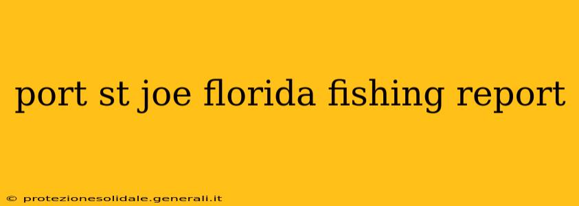 port st joe florida fishing report