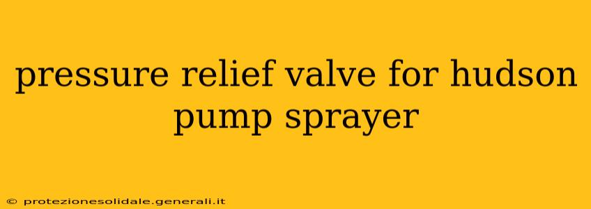 pressure relief valve for hudson pump sprayer