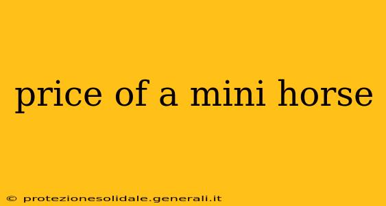 price of a mini horse