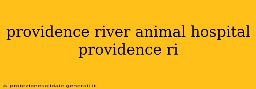 providence river animal hospital providence ri