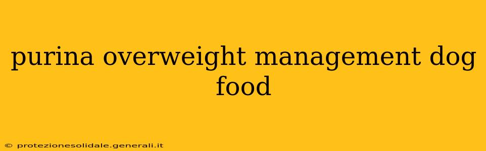 purina overweight management dog food