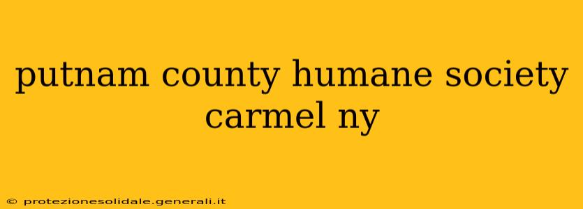 putnam county humane society carmel ny