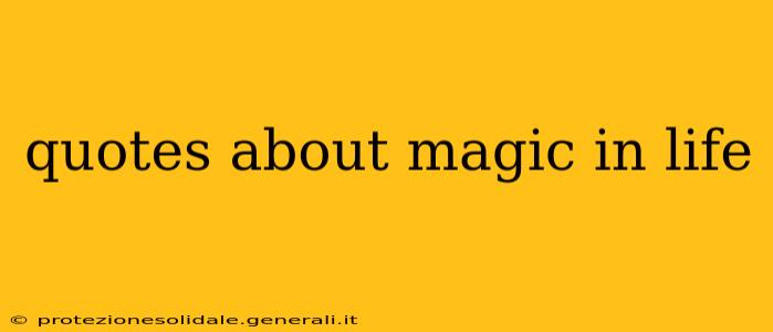 quotes about magic in life