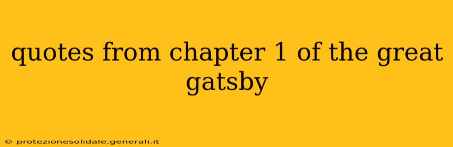 quotes from chapter 1 of the great gatsby