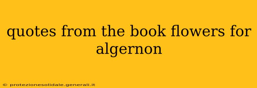 quotes from the book flowers for algernon