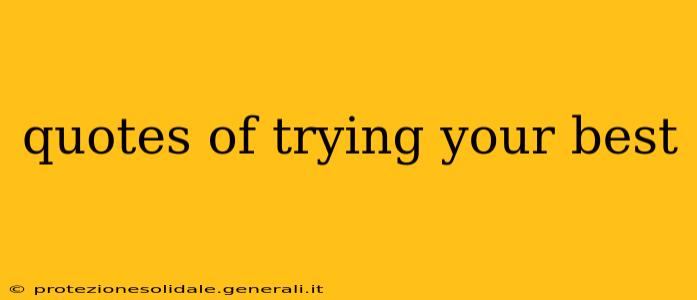 quotes of trying your best