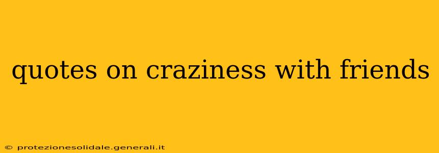 quotes on craziness with friends