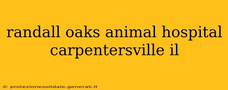 randall oaks animal hospital carpentersville il
