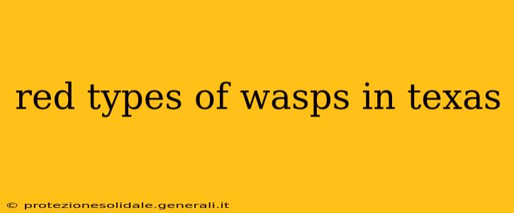 red types of wasps in texas