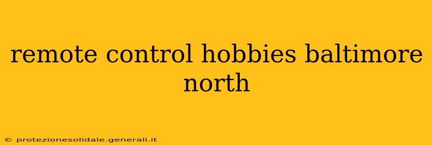 remote control hobbies baltimore north