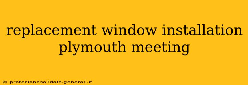 replacement window installation plymouth meeting