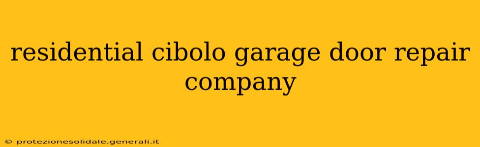 residential cibolo garage door repair company